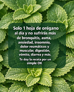 Chua co ten Bai dang Instagram 45