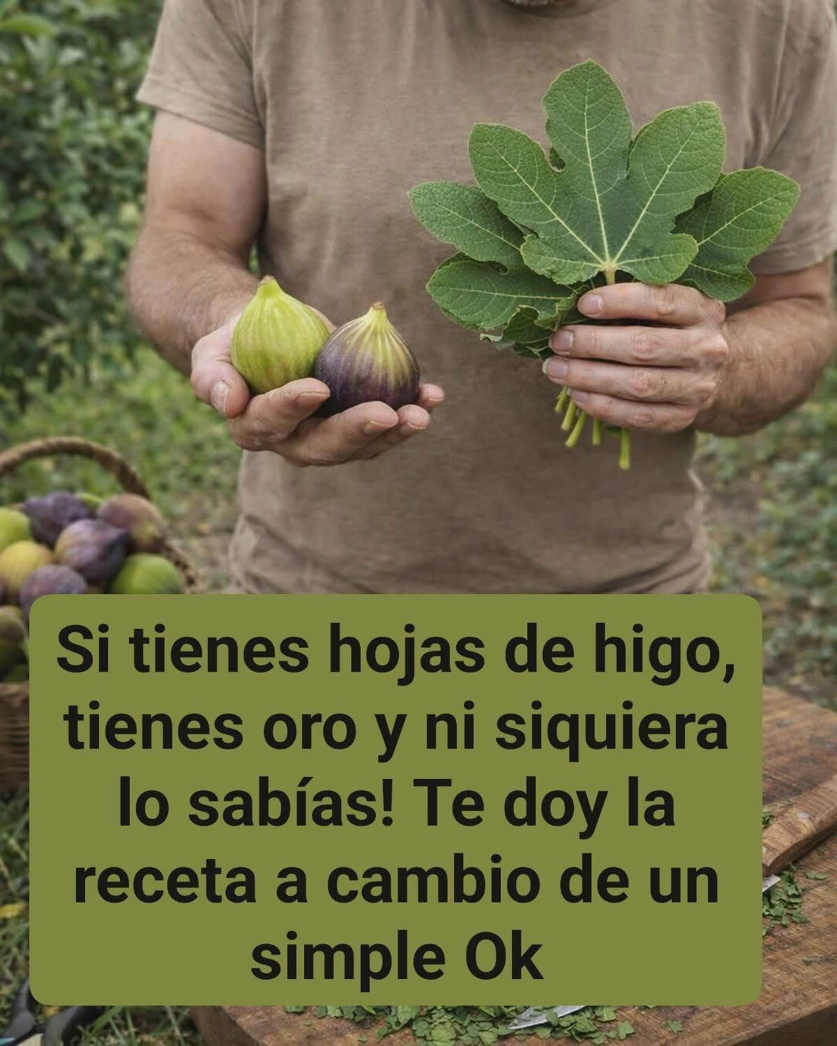 WhatsApp Image 2026 01 28 at 21.39.35