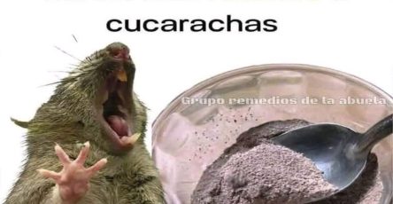 WhatsApp Image 2026 02 17 at 02.50.59