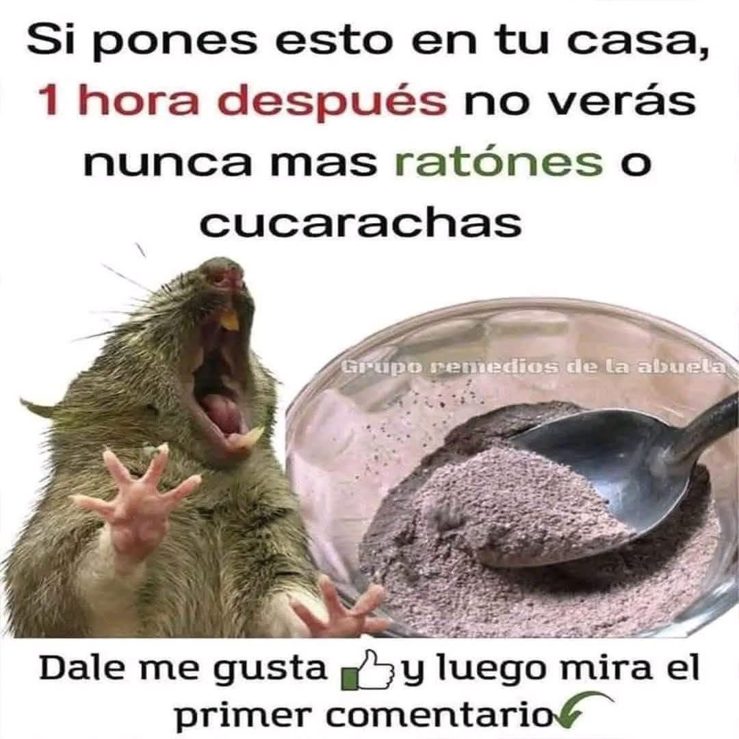 WhatsApp Image 2026 02 17 at 02.50.59