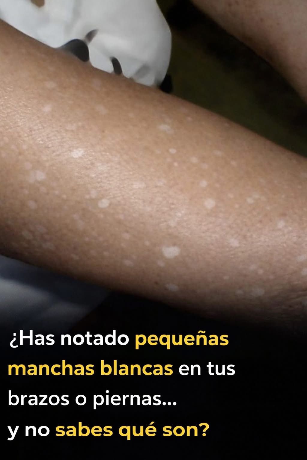 WhatsApp Image 2026 03 06 at 14.21.29