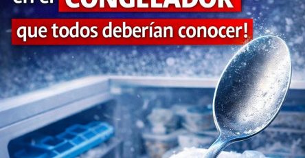 WhatsApp Image 2026 03 06 at 23.48.55