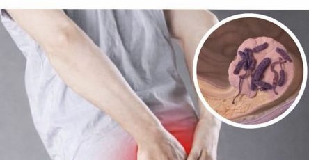 WhatsApp Image 2026 03 13 at 14.55.06