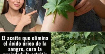 WhatsApp Image 2026 03 26 at 05.24.24