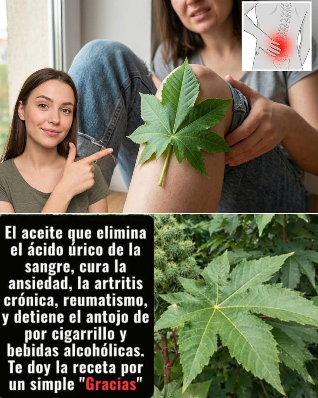 WhatsApp Image 2026 03 26 at 05.24.24