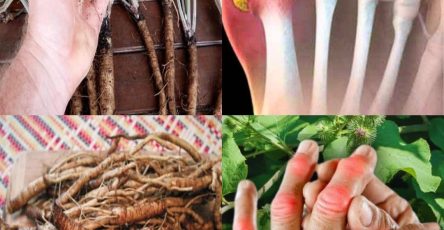 A8201f98 01e2 44d2 ac03 de3053d34754