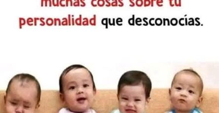 D6f0c7c6 1990 40cf 954d 3db093388d7b