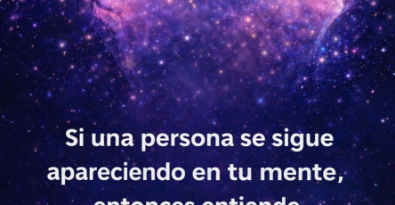 D7ba506e 2de3 42f5 be3d 0b682ddfd5c3