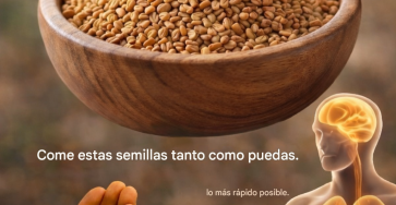 E661e4b6 f2e4 444e 9242 6efe481d158d