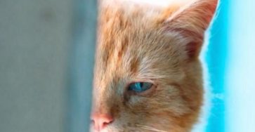 E94fb910 a419 4f4b 93b2 14030b038355 (1)