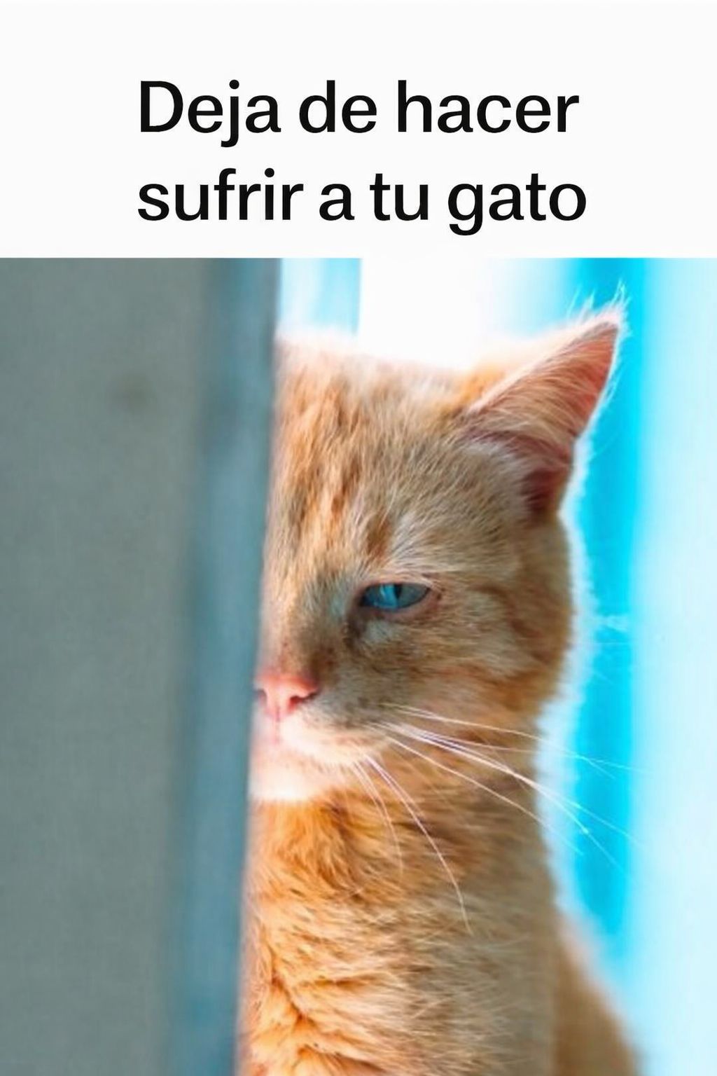 E94fb910 a419 4f4b 93b2 14030b038355 (1)