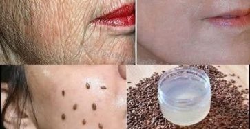 06b9fbd6 aefc 4c76 b90d 1b5691052c8b