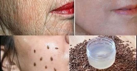 06b9fbd6 aefc 4c76 b90d 1b5691052c8b