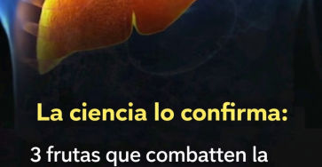 07c97531 8237 4156 b602 9ac9bd16db4d