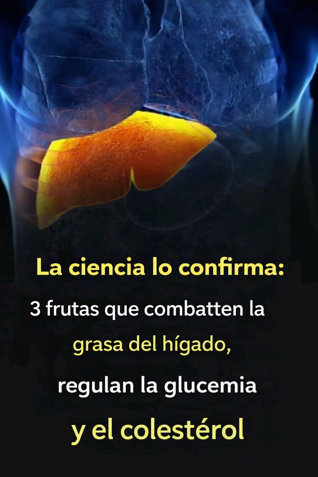 07c97531 8237 4156 b602 9ac9bd16db4d