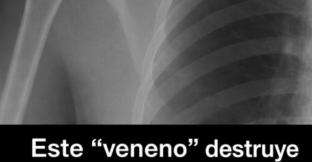 23d05202 9747 463a 92b2 d58a5103693c