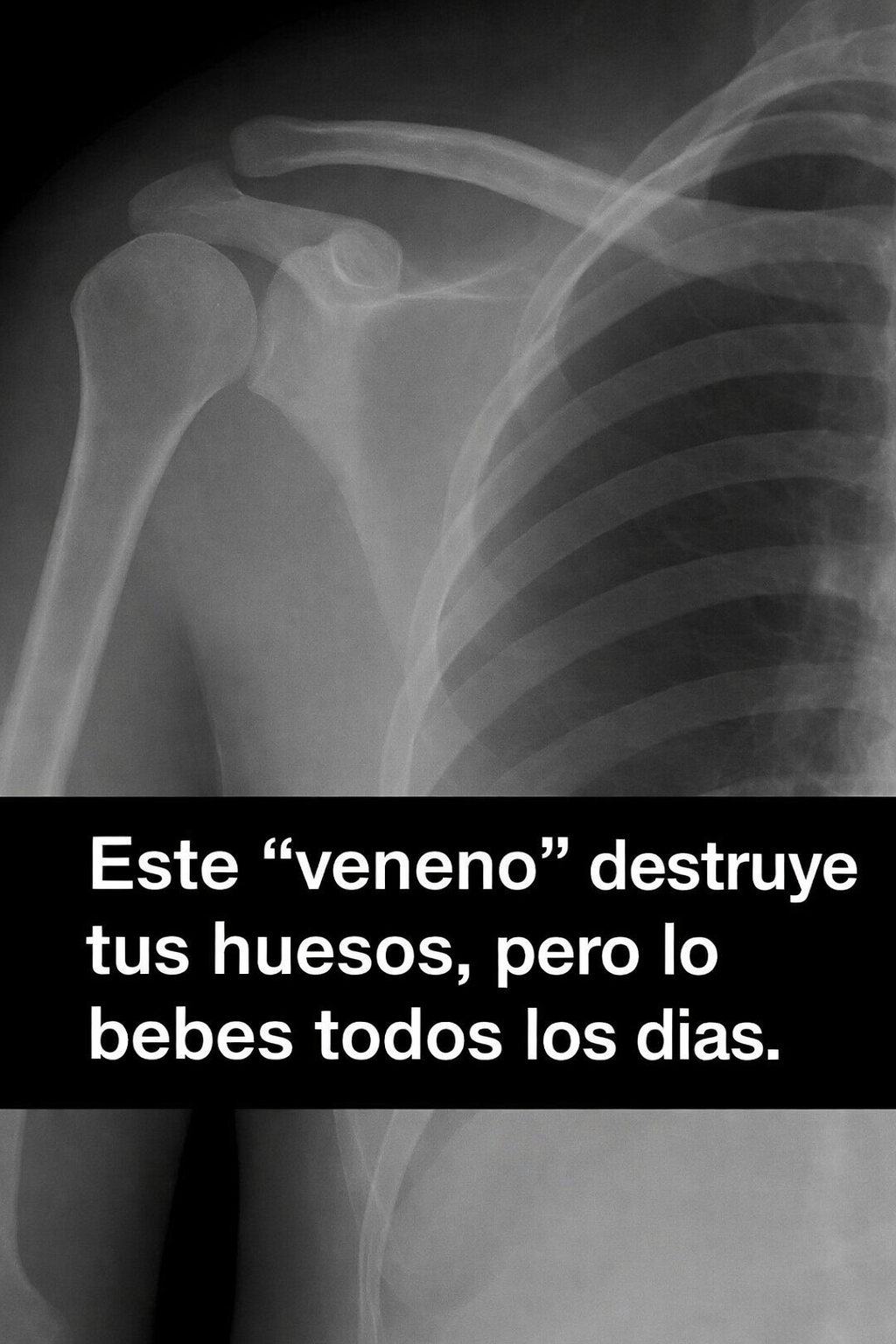 23d05202 9747 463a 92b2 d58a5103693c