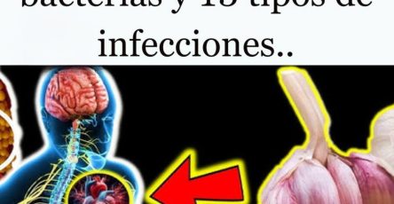 540870079 1537083574540826 4720581015317280939 n