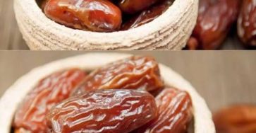 553410171 1973171773436186 8585698947871273405 n