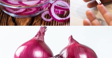 566223741 122134165184943773 214498958145464067 n