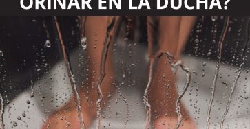 571214330 801385512678114 8206929798926962677 n