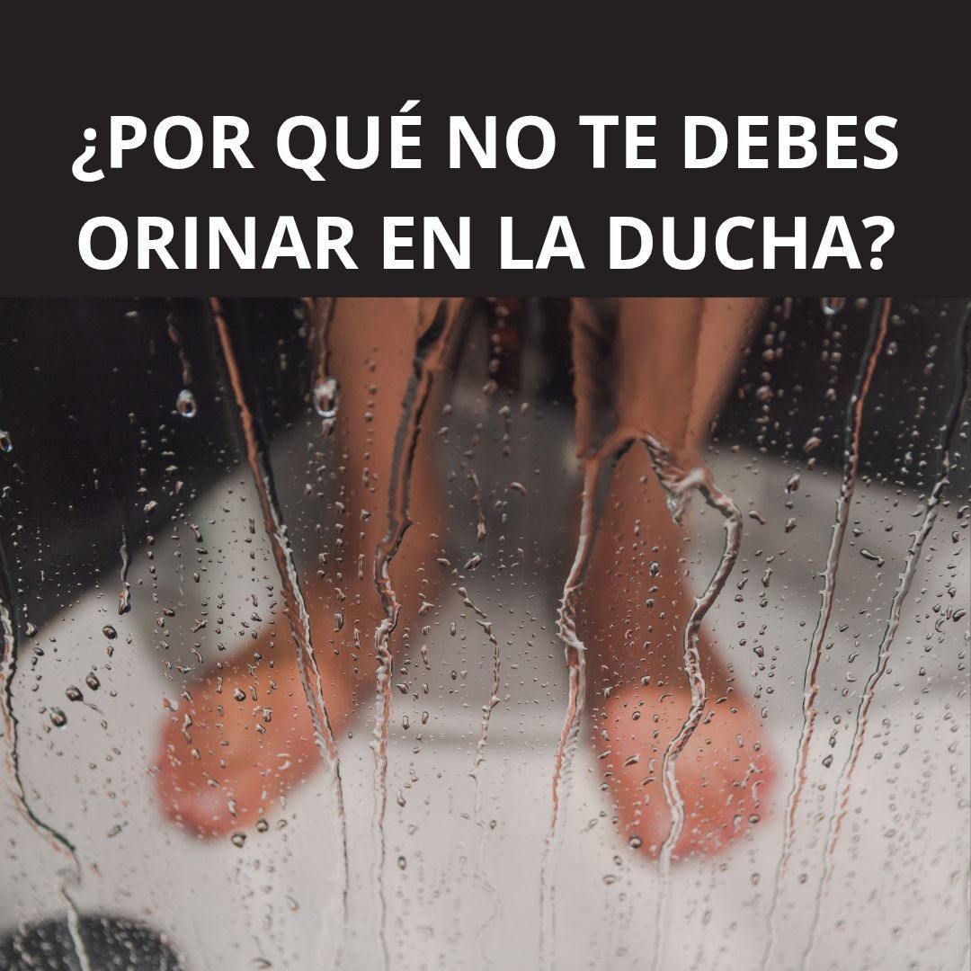 571214330 801385512678114 8206929798926962677 n