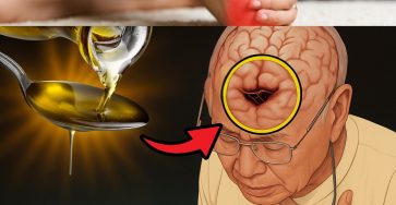 573058619 122135896988943773 1308430981581487652 n