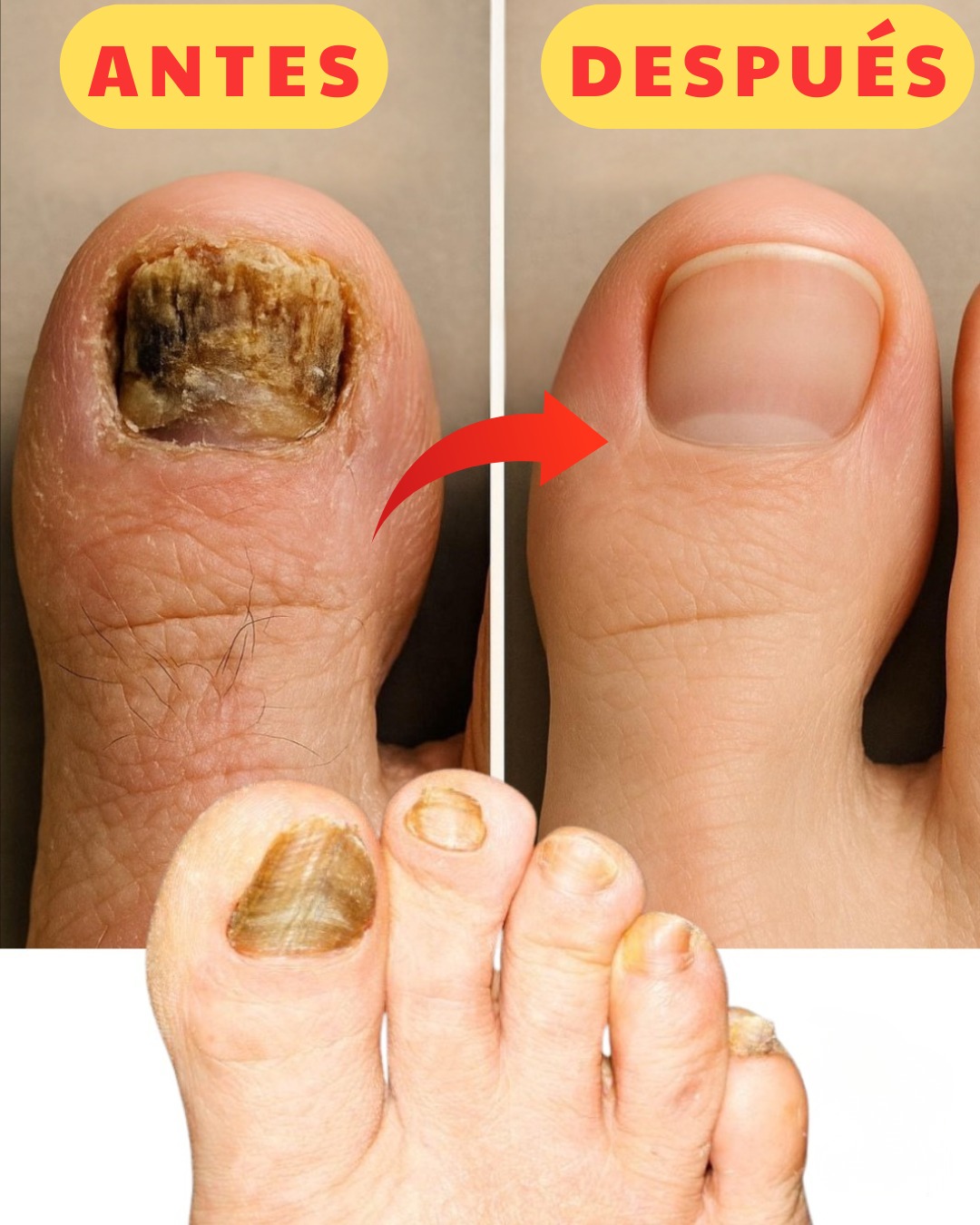 574027947 122136315518943773 7037478214842009830 n