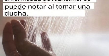 588740380 1378382567030382 1517746023576124214 n