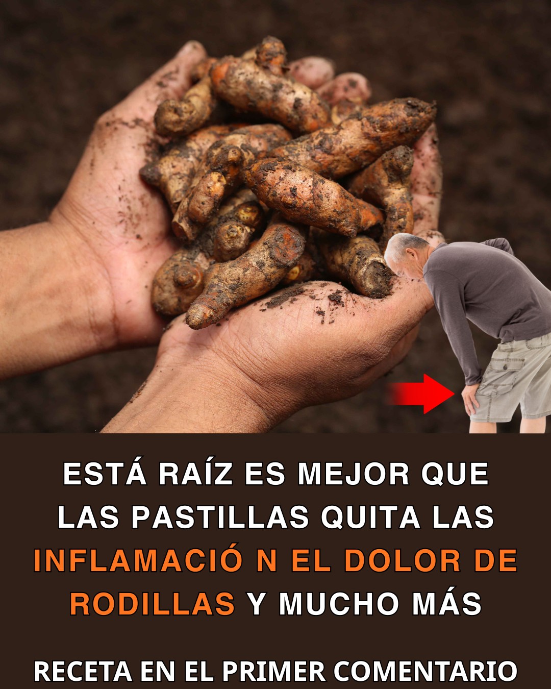 593494669 122142027350943773 4011101828570671725 n