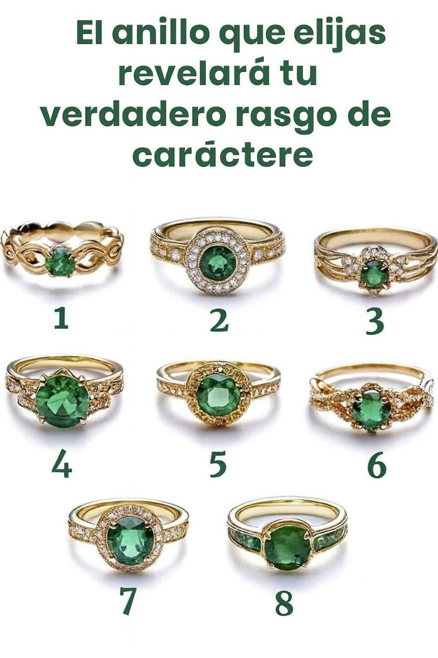 595923527 2359856857767899 1980386486533952621 n