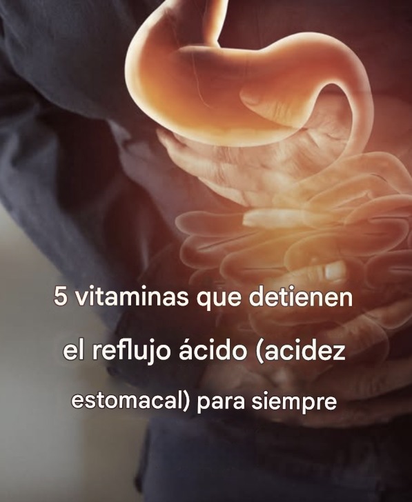 596245545 1423895595965619 8369141858989638763 n