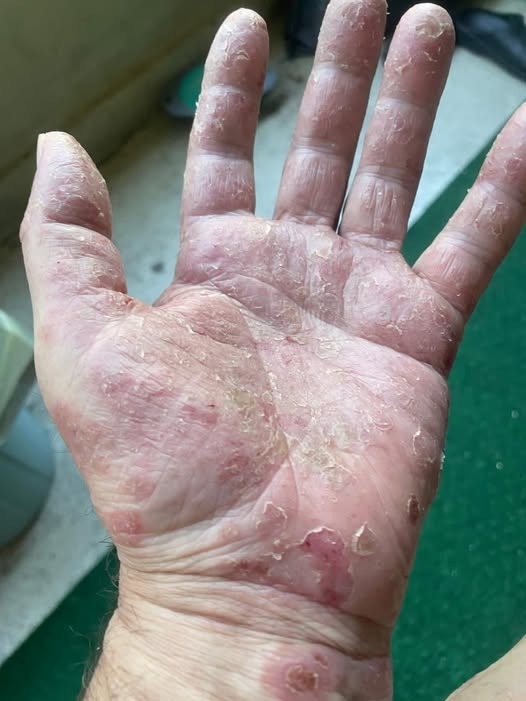 596803346 833398712810127 5189443394038409116 n