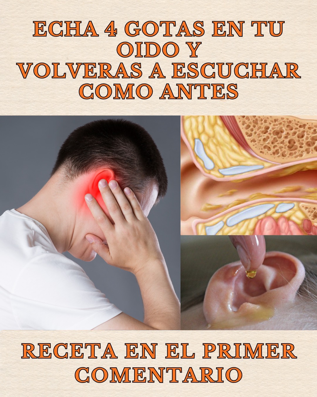 603838723 122145423950943773 1783452971614980260 n