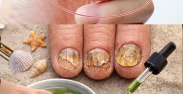 615369939 1514637126858234 6194706064668149984 n