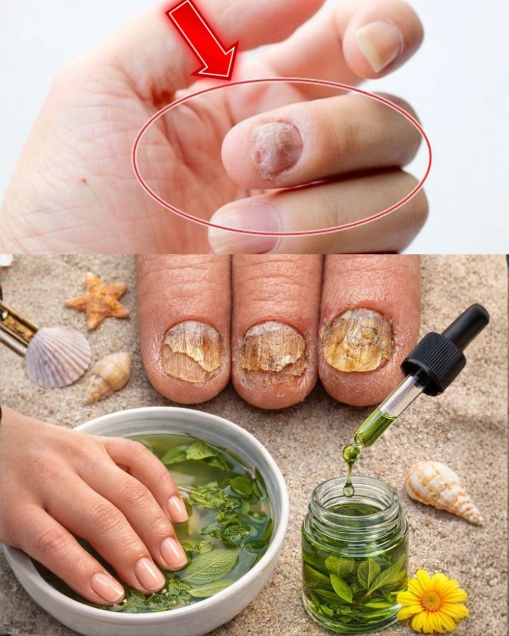 615369939 1514637126858234 6194706064668149984 n