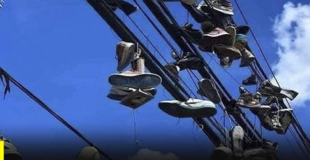 616820017 1206350774945122 447919165251744466 n