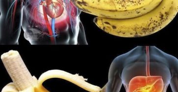 618134098 1396380505867705 3761163752996394748 n