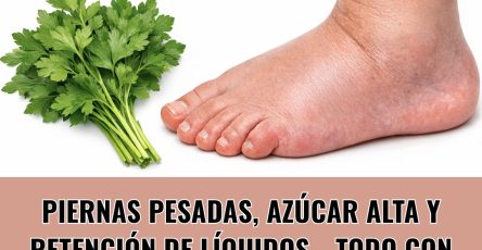 619900822 122151295118943773 5404336653208067776 n