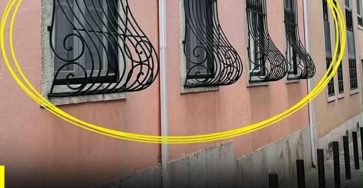 623830441 1302037285288029 9066879951334376517 n