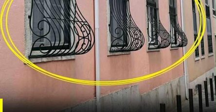 623830441 1302037285288029 9066879951334376517 n