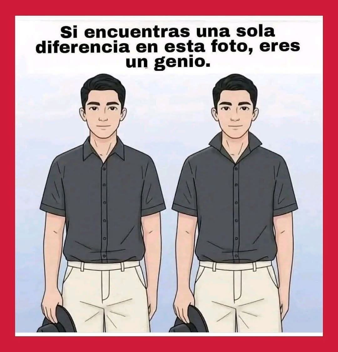 630309252 122112071529209067 5707298545435013983 n