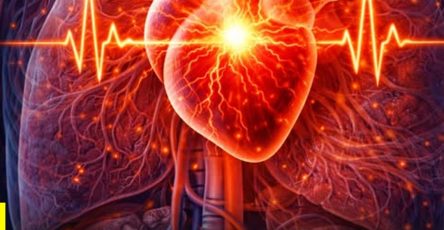 634865660 1292986499307086 7404548824403724678 n