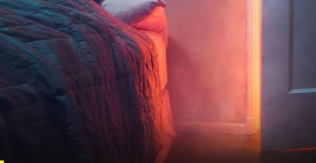 635114436 937073818831458 4769126620069312745 n