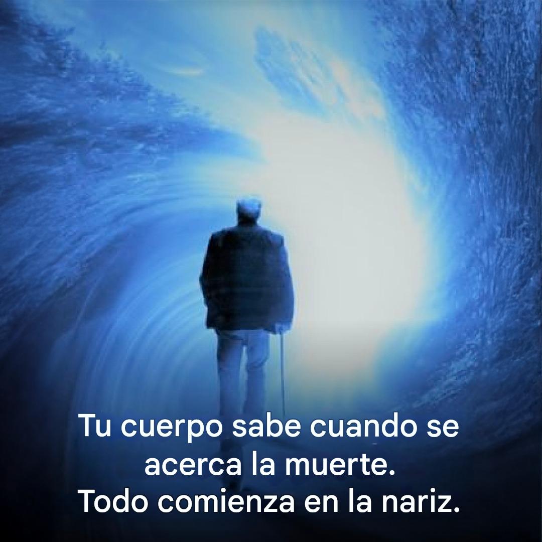 638112000 1339384411559464 6469745735907698061 n