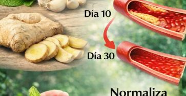 643004438 1551747369813876 5771427356871876337 n