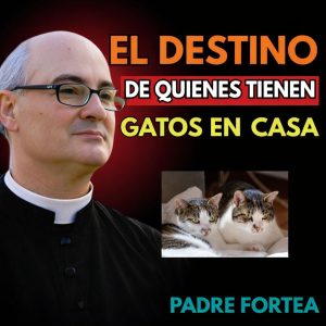 645883516 1676883830140301 470657531527091536 n