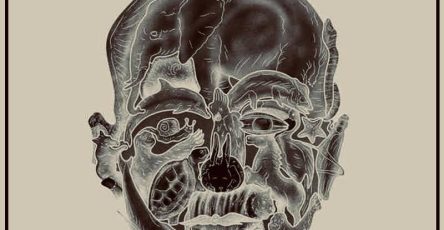 646150906 907668405395337 2870442393003417096 n