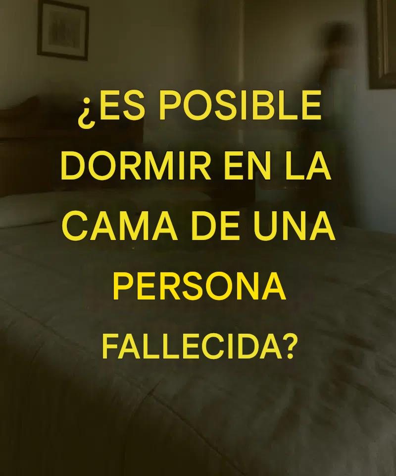 648137813 914435937640782 466941338843083881 n