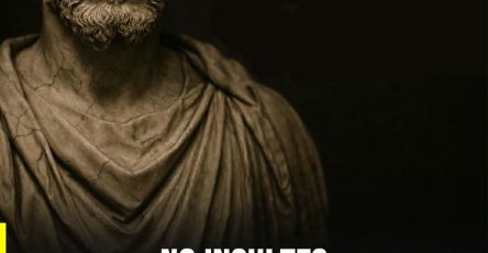 652455258 1344106287747795 8134329859588211796 n